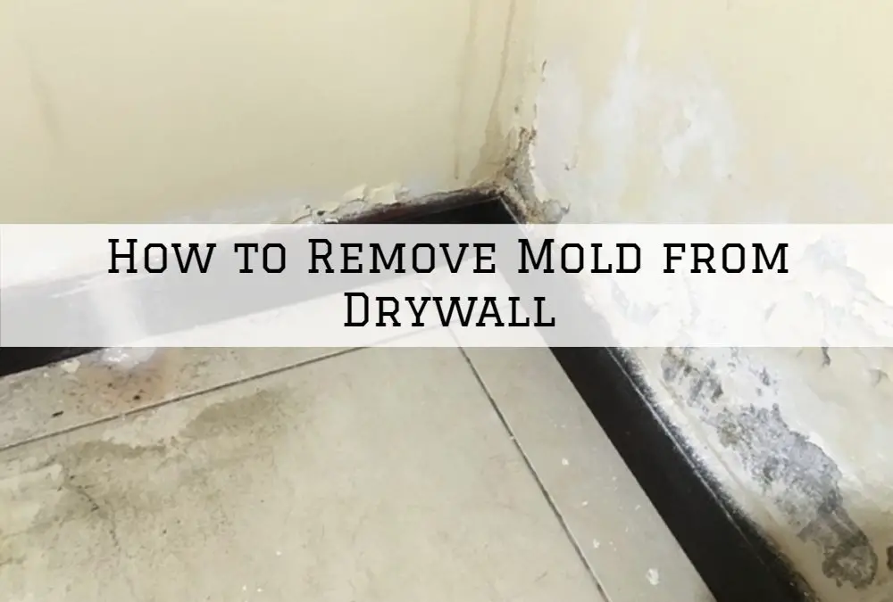 How to Remove Mold from Drywall in Ottawa, Ontario ...