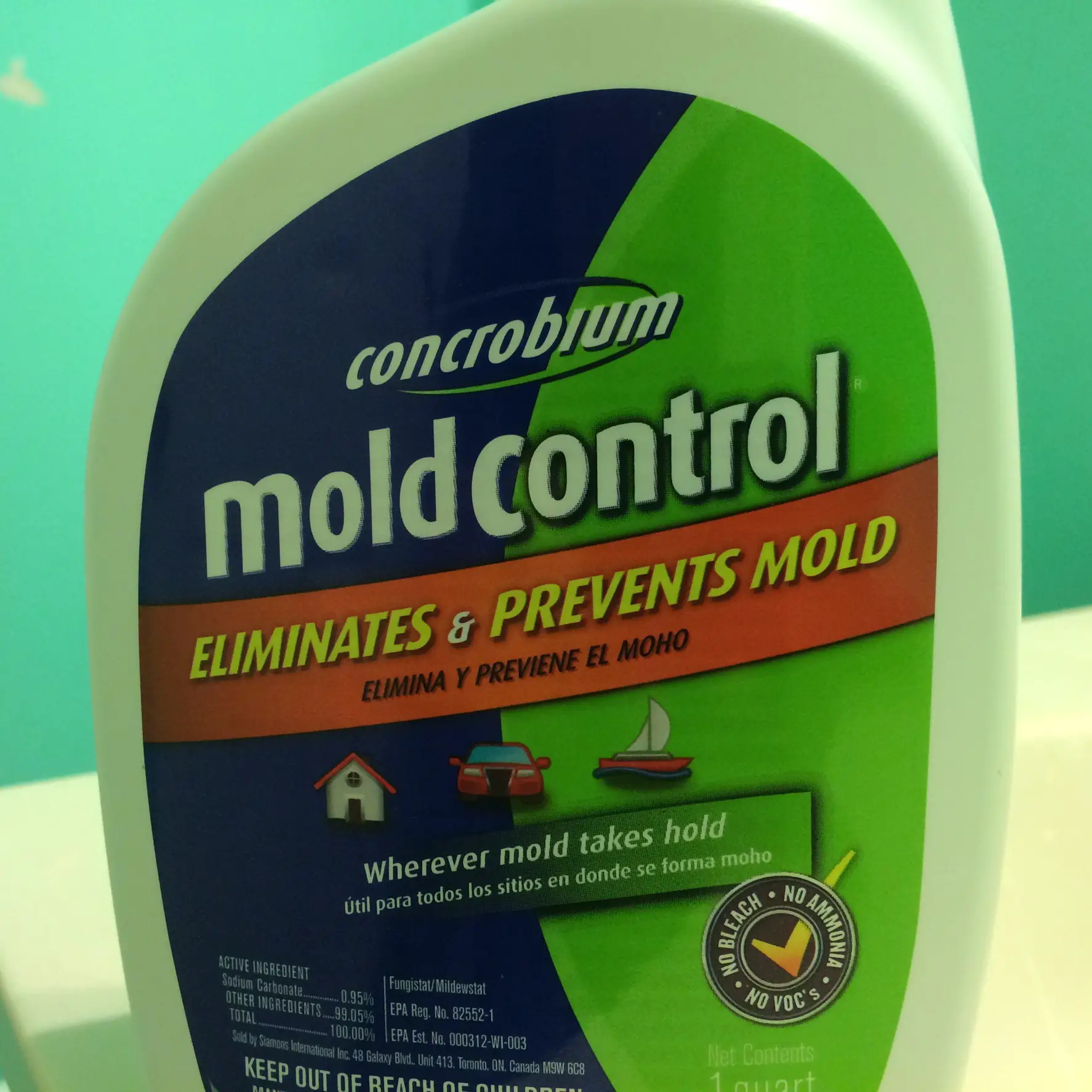 How to Remove Mold From Inside Your Bathroom Ceiling â a permanent ...