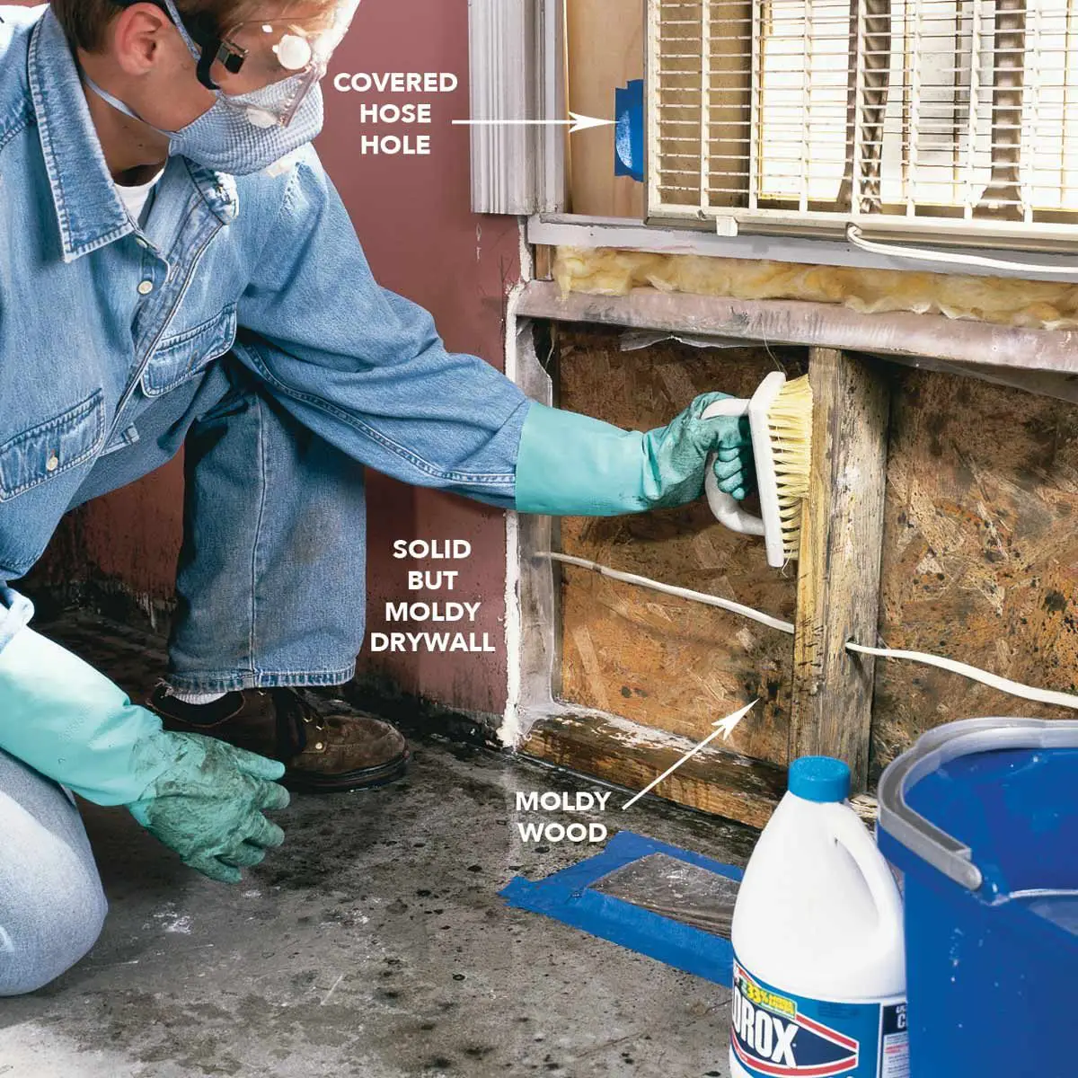 How To Remove Mold From Insulation