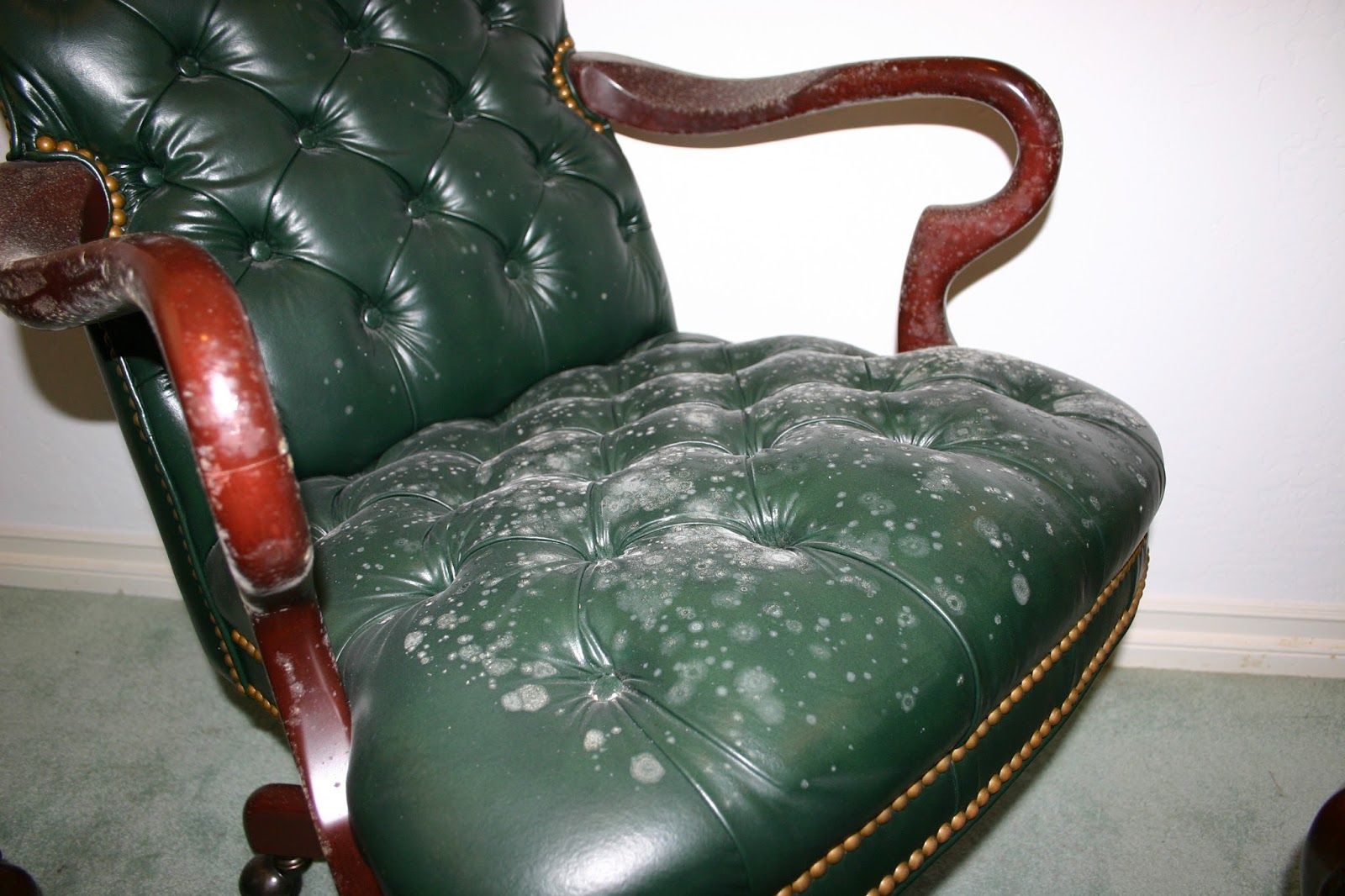 How to Remove Mold from Leather