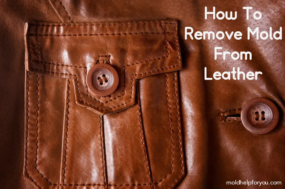How To Remove Mold From Leather The Easy Way