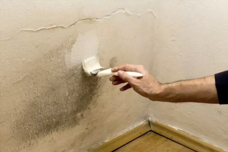 How To Remove Mold From Painted Walls?