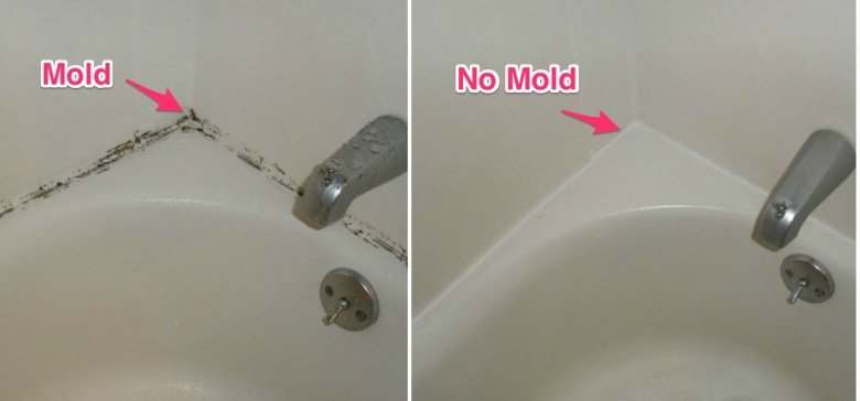 How to Remove Mold From Shower &  Bathtub Caulking