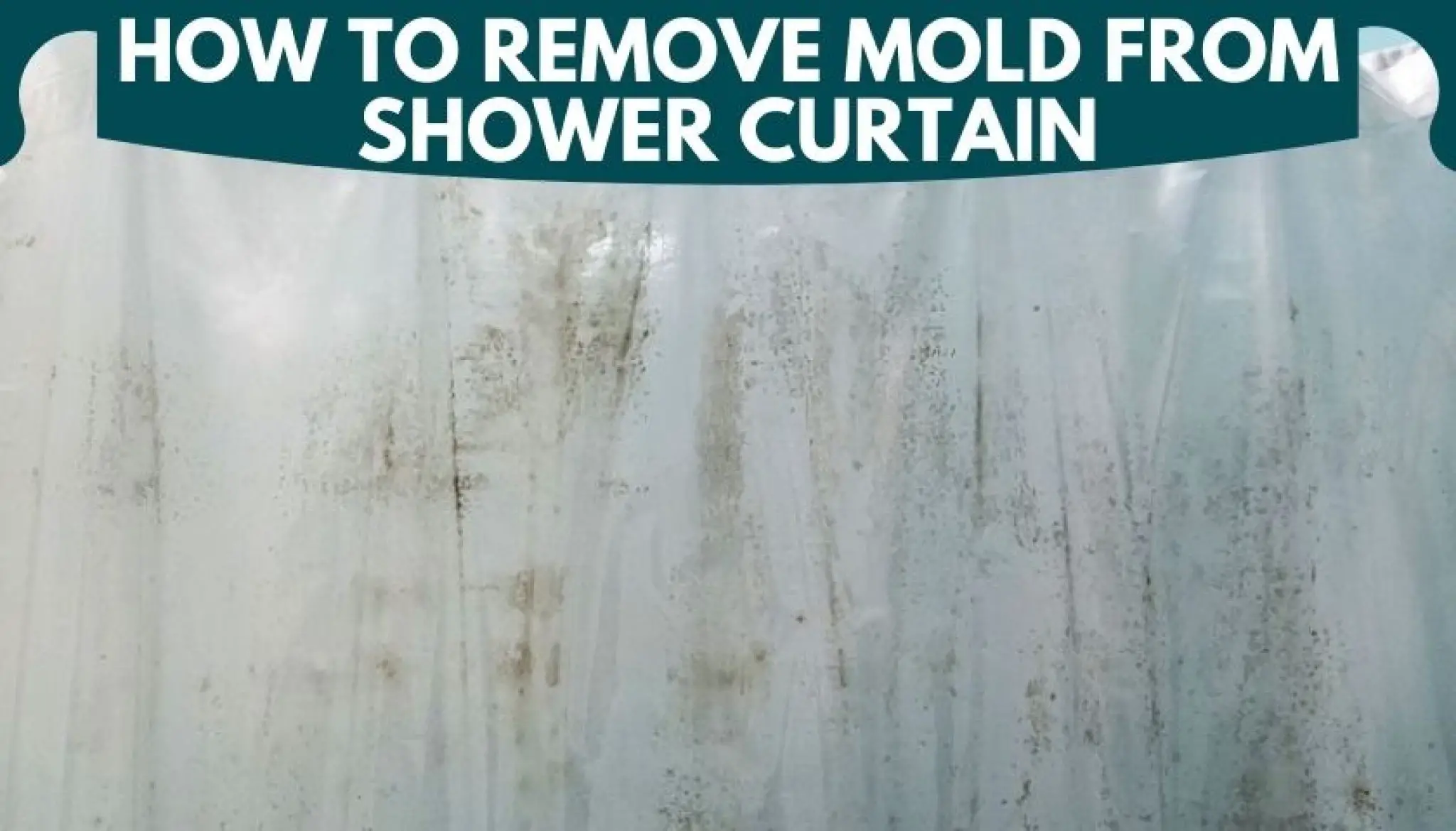 How to Remove Mold from Shower Curtain