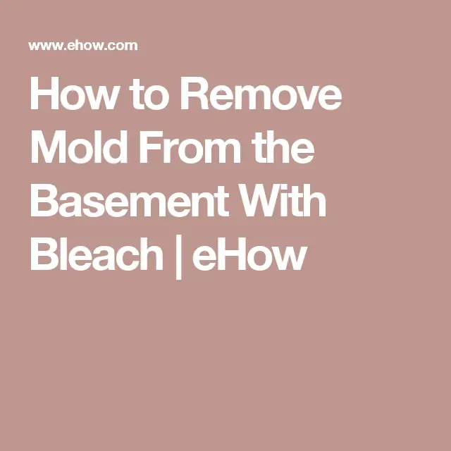 How to Remove Mold From the Basement With Bleach