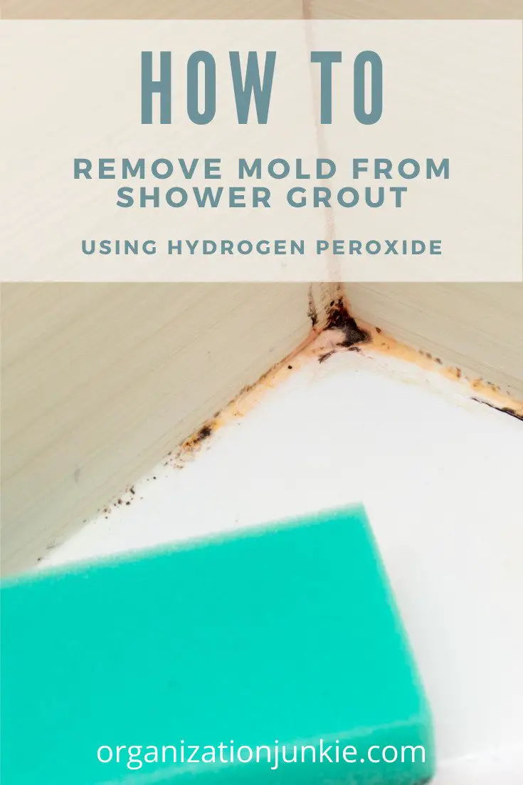 How to Remove Mold from Tile Grout Permanently ...
