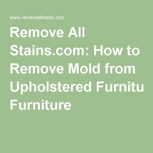 How to Remove Mold from Upholstered Furniture
