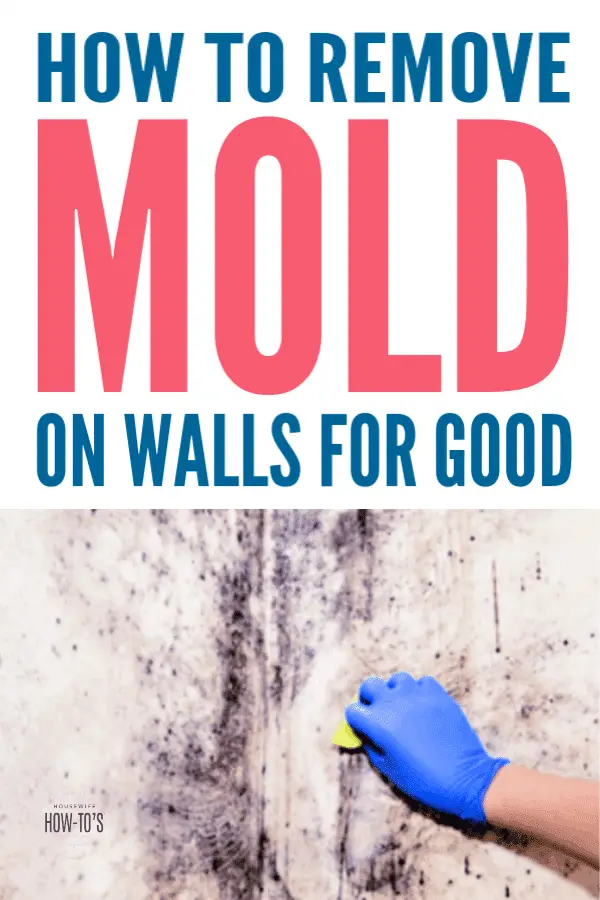How to Remove Mold from Walls for Good » Housewife How