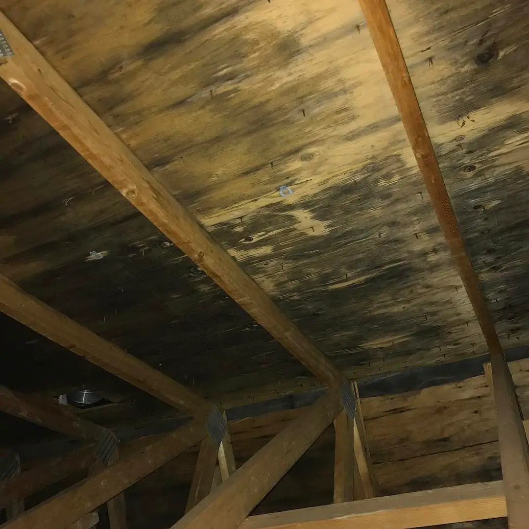 How To Remove Mold From Wood Attic