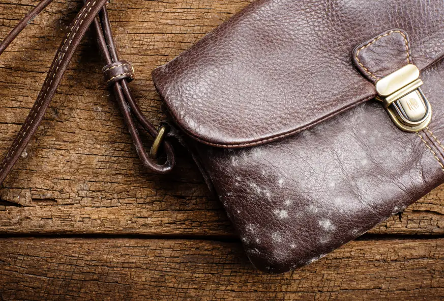 How to remove mold from your leather bag