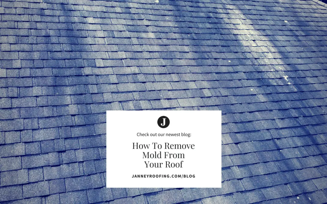 How To Remove Mold From Your Roof Shingles
