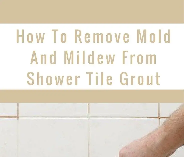 How To Remove Mold