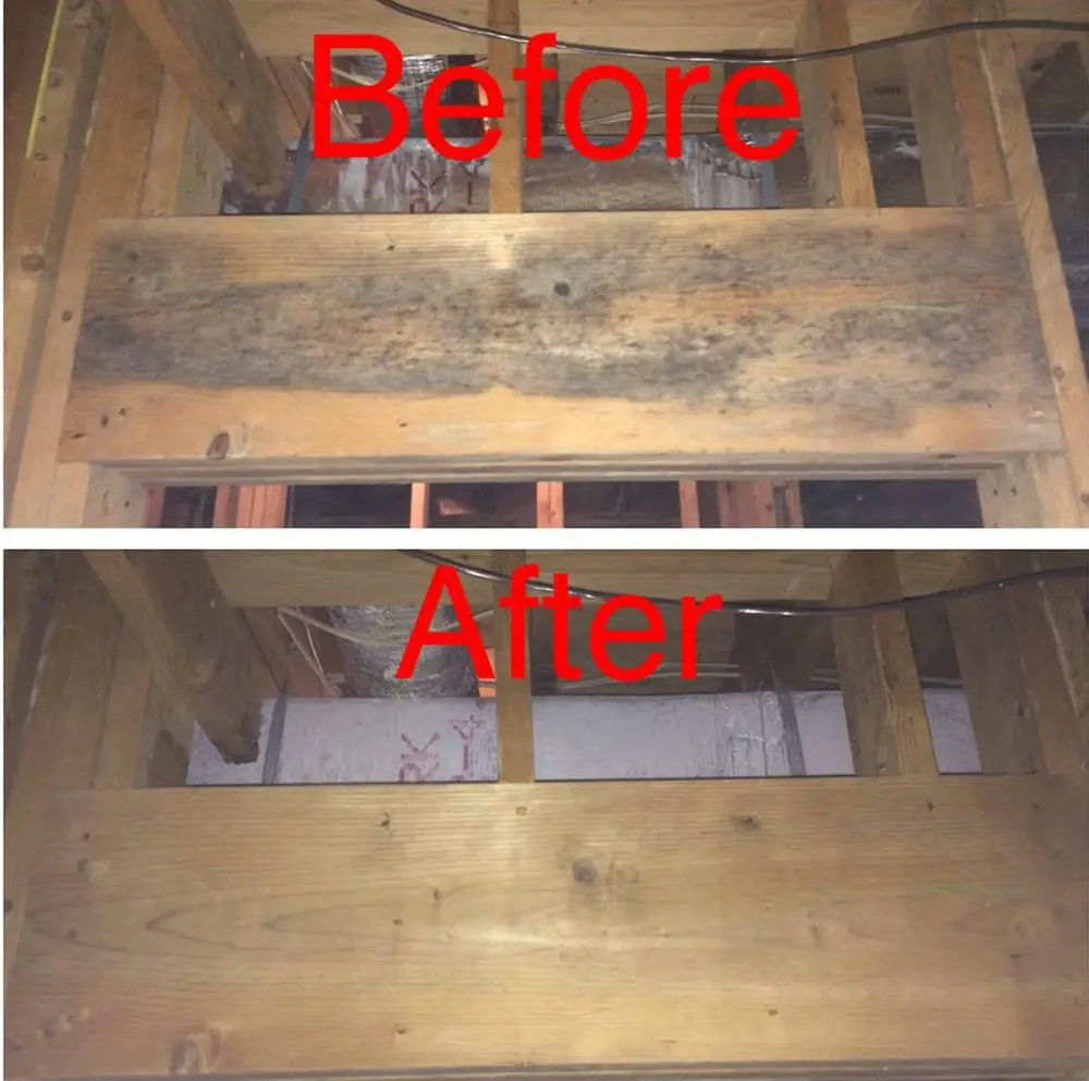 How To Remove Mold In Basement