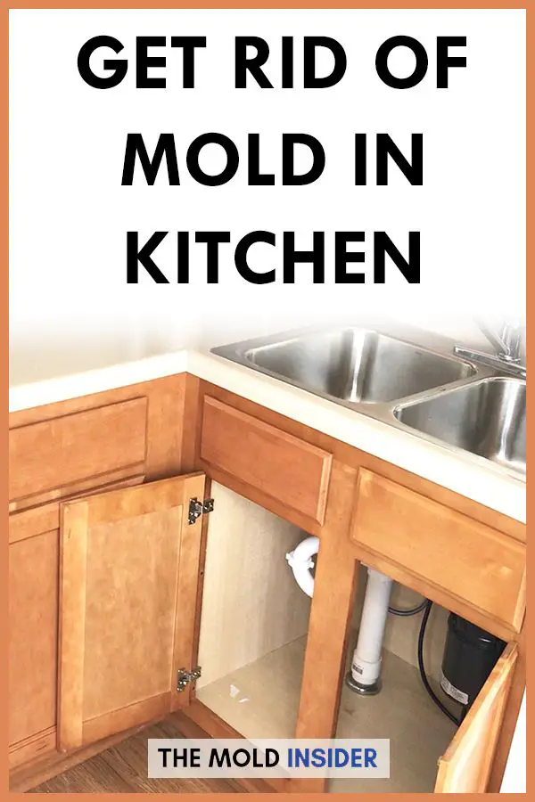 How To Remove Mold In Kitchen (100% Doable