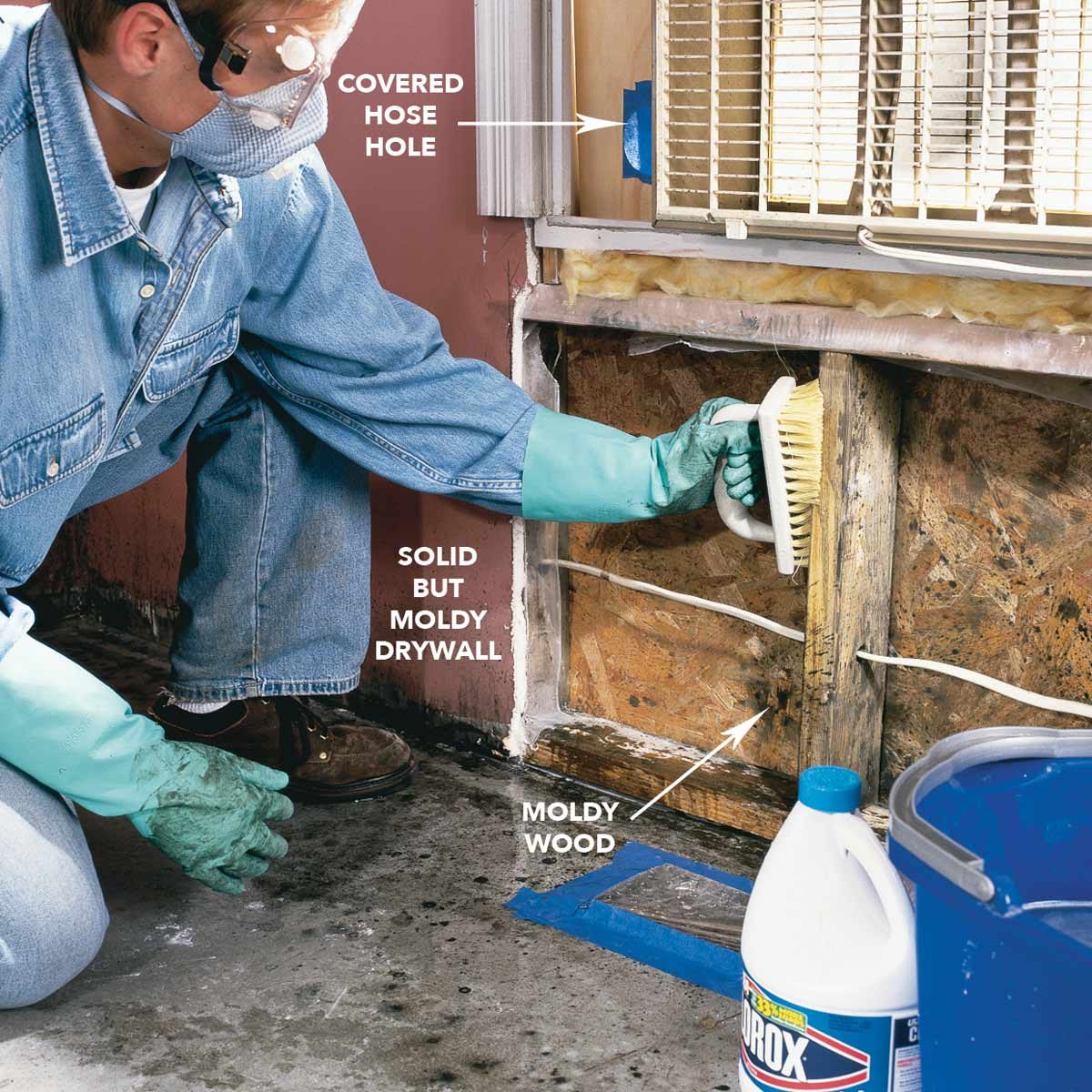 How To Remove Mold: Mold Remediation (DIY)