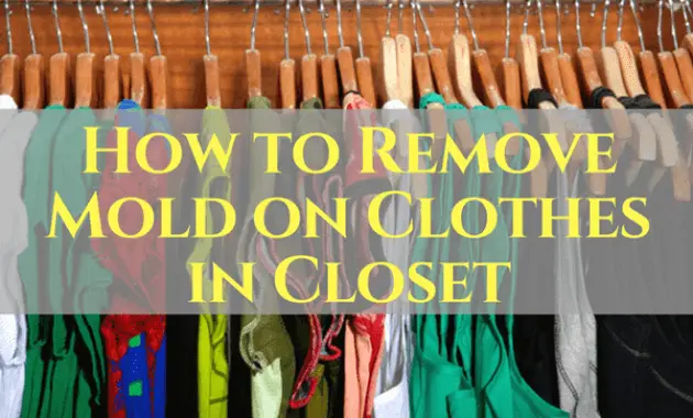 How to remove mold on clothes in closet  EasyHomeTips.org