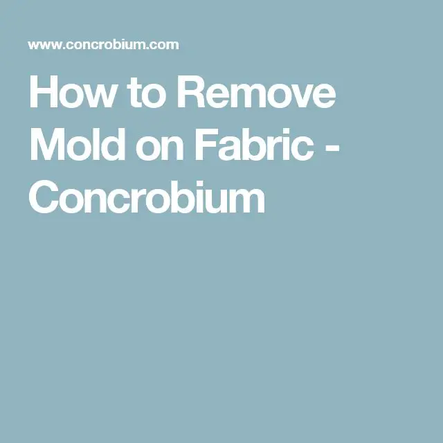 How to Remove Mold on Fabric