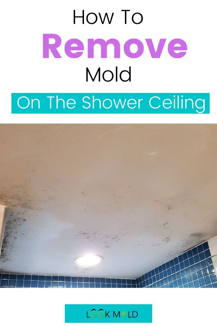 How To Remove Mold On The Shower Ceiling