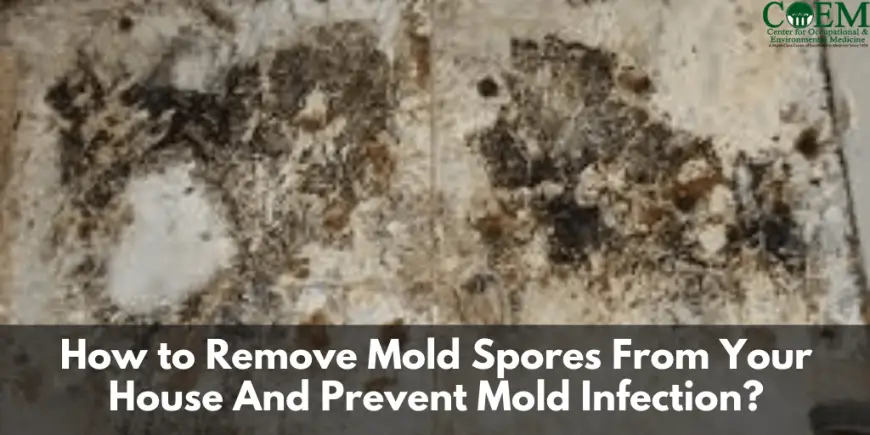 How to Remove Mold Spores From Your House And Prevent Mold Infection