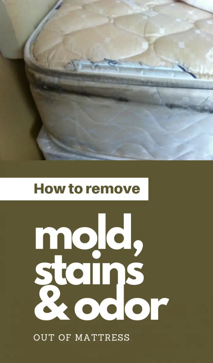 How To Remove Mold, Stains And Odor Out Of Mattress ...