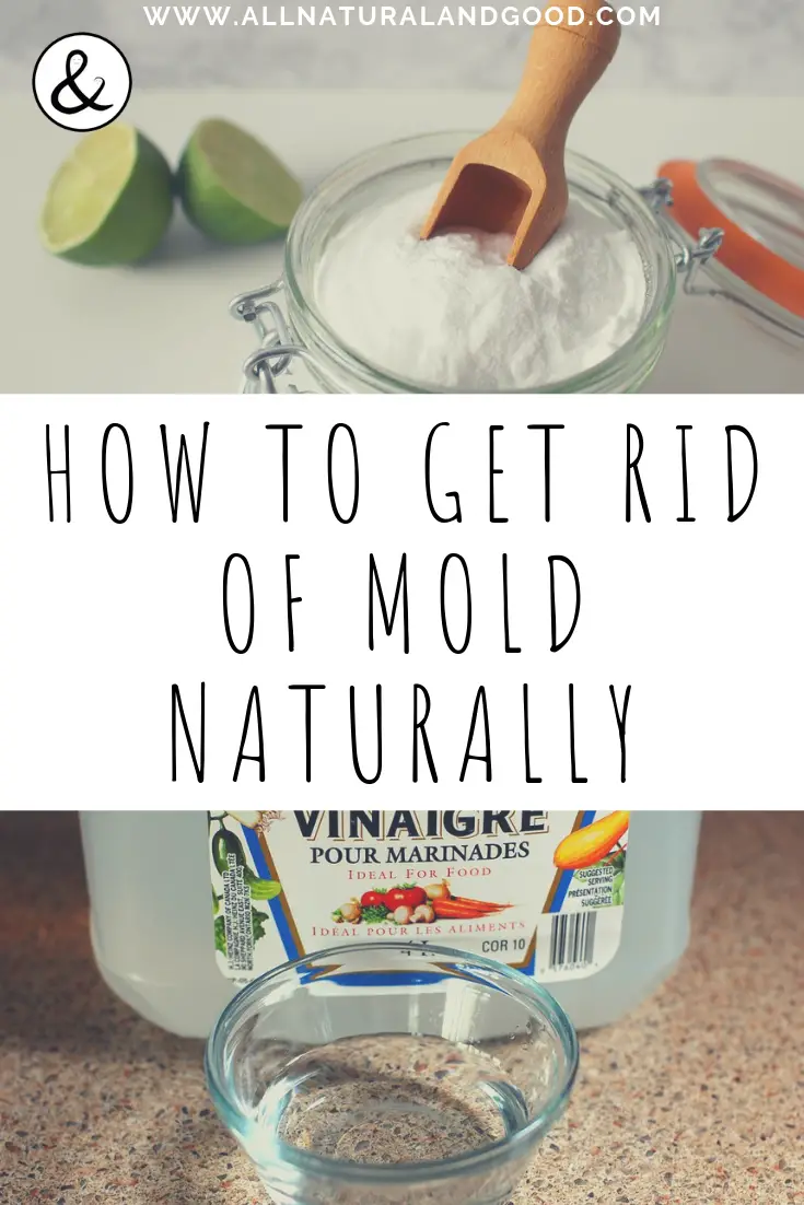 How To Remove Mold With Baking Soda And Vinegar