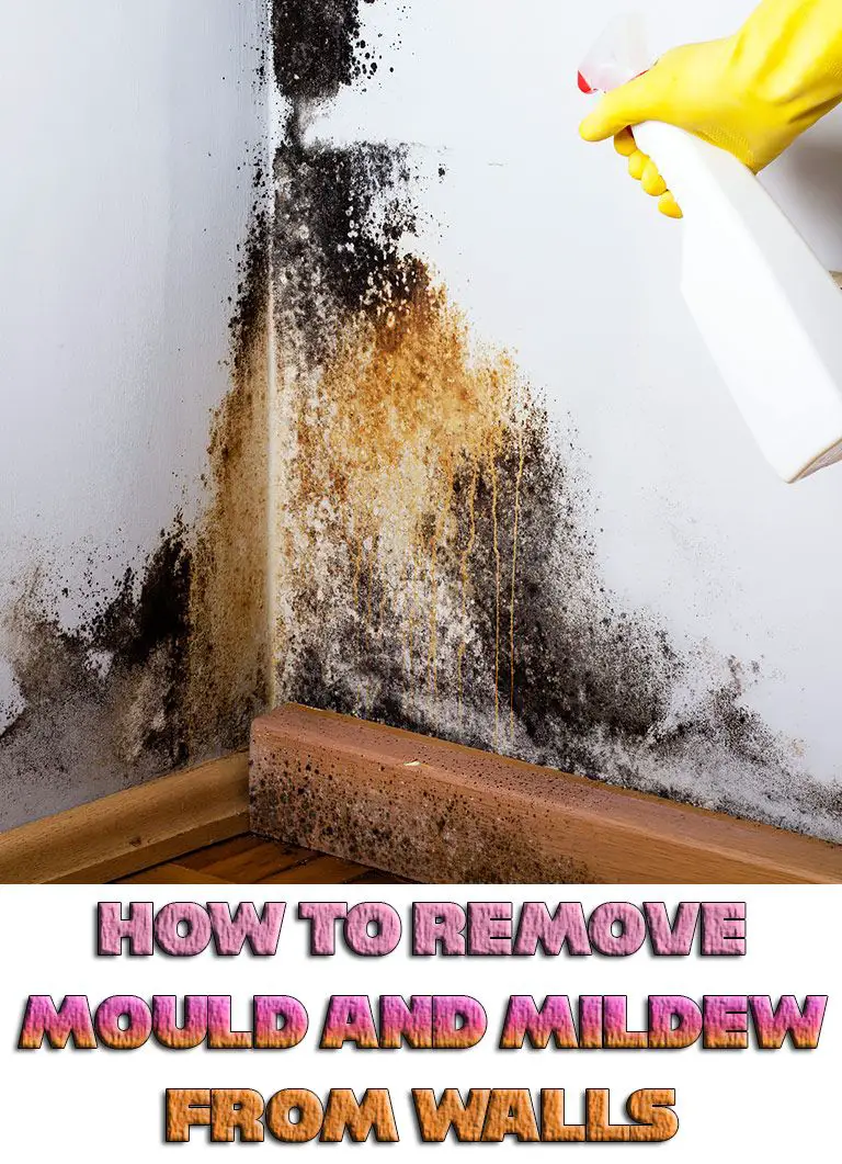 How to Remove Mould and Mildew from Walls #cleaning