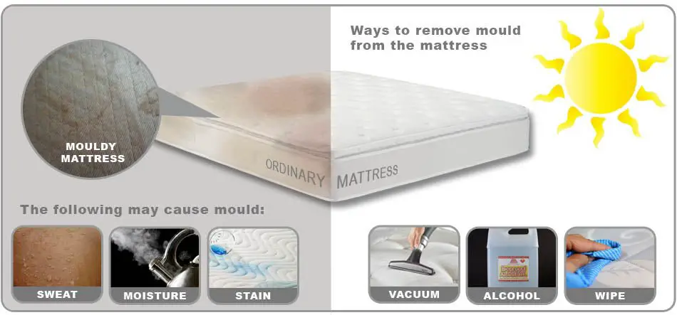 How to Remove Mould From A Mattress  European Bedding