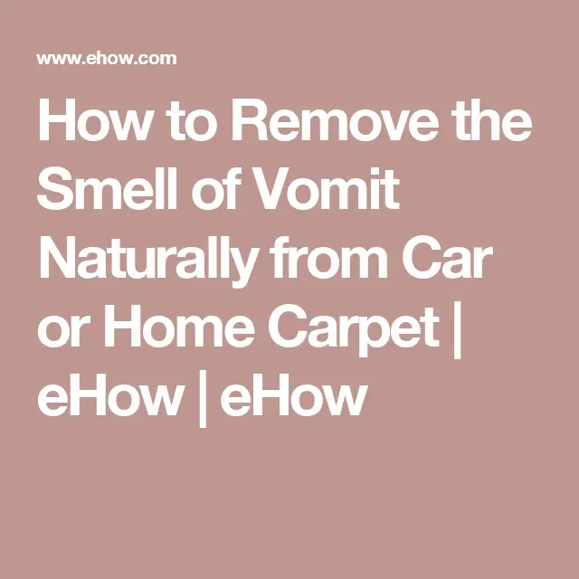 How to Remove the Smell of Vomit Naturally from Car or Home Carpet ...