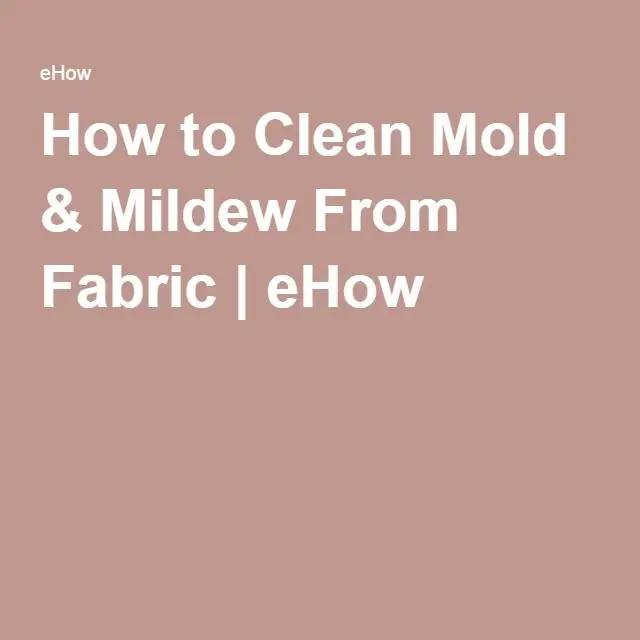 How to Remove Toxic Mold in Your Home