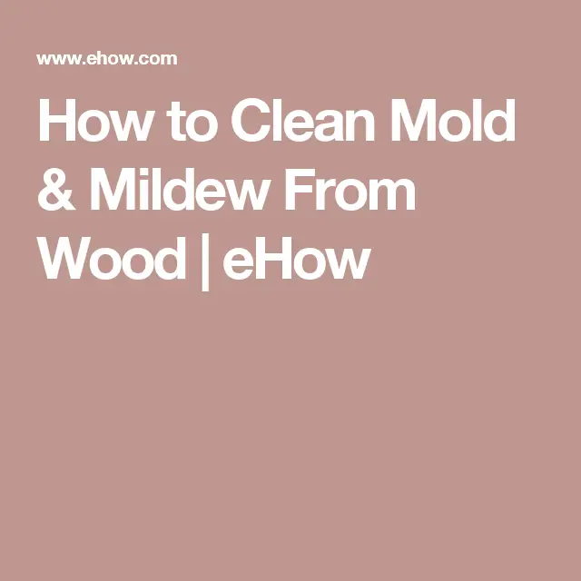 How to Remove Toxic Mold in Your Home