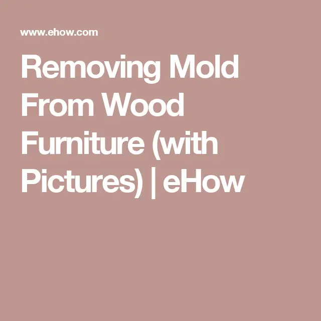 How to Remove Toxic Mold in Your Home (With images)