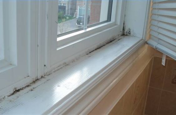 How to Safely Get Rid of Mold on Window Frames