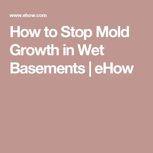 How to Stop Mold Growth in Wet Basements