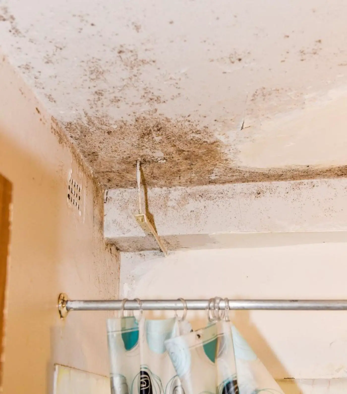 How To Sue An Apartment Complex For Mold