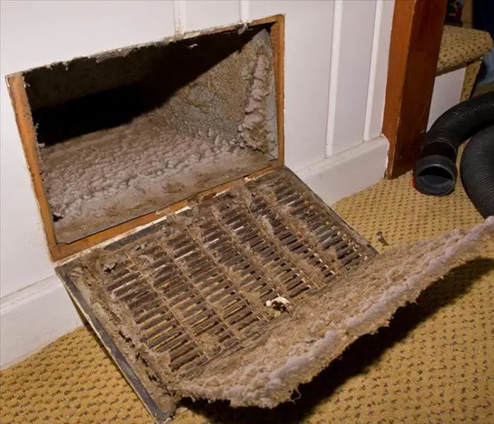 How To Tell if Your Air Ducts Have Mold