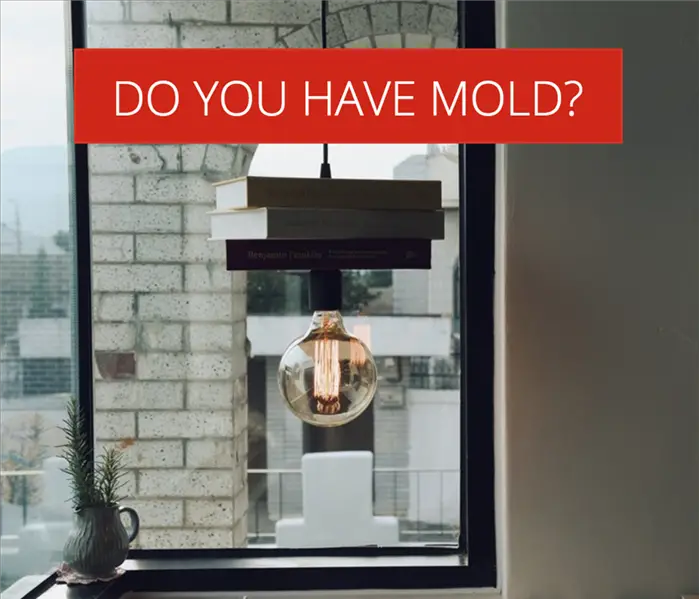 How to Tell if Your Home has a Mold Problem