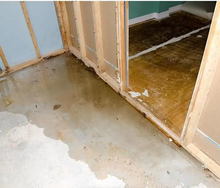 How to Tell If Your Kerhonkson Basement Has Water Damage ...