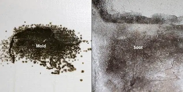How to Tell the Difference Between Black Soot &  Black Mold ...