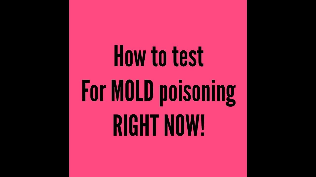 How You Can Test Yourself for Mold Poisoning RIGHT NOW ...