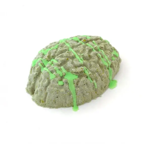Human Brain Plastic Mold or silicone mold Resin Mold brain
