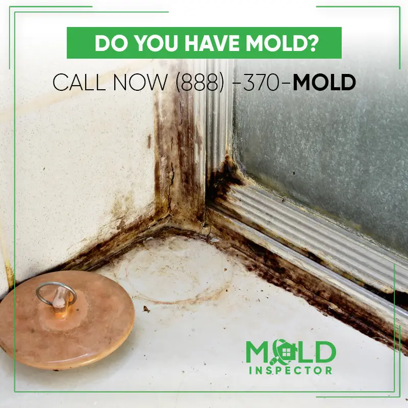 If mold is visible within the home, probably you have also hidden molde ...