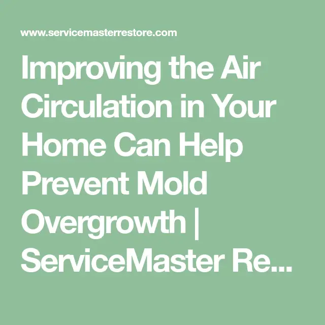 Improving the Air Circulation in Your Home Can Help Prevent Mold ...