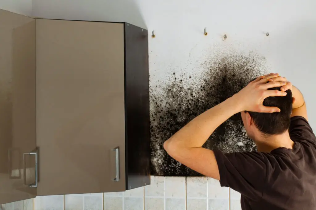 Is a Mold Problem in Your Home Making you Sick?  WeCare