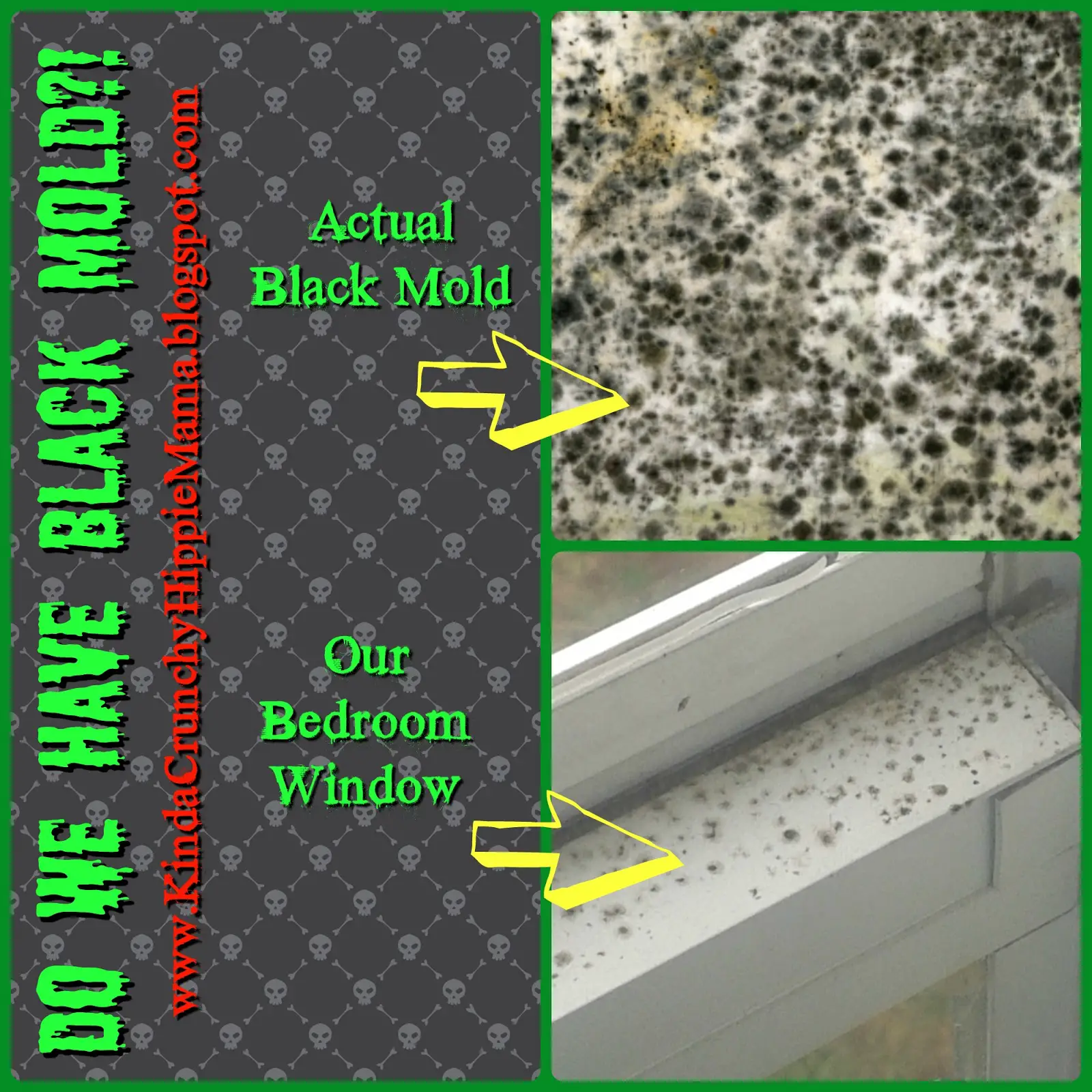 Is It Naptime Yet?: Is Black Mold Hurting Me?!