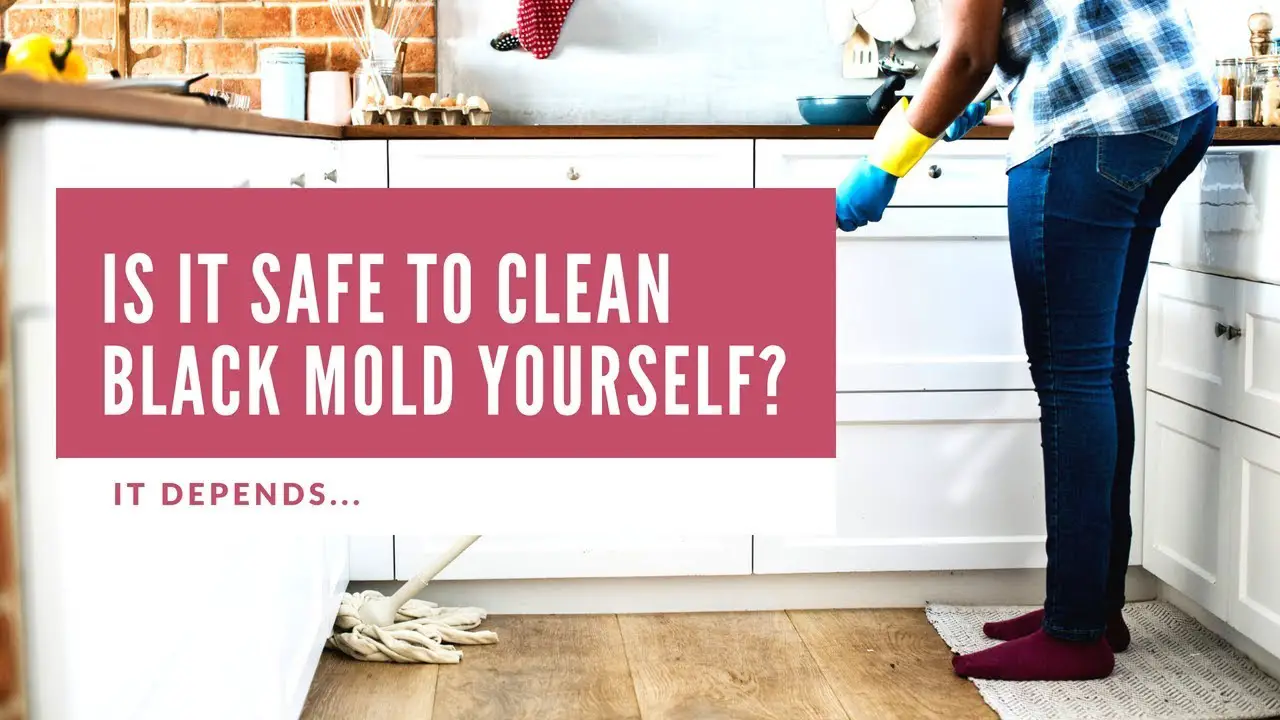 Is it SAFE to Clean Black Mold Yourself? It depends ...