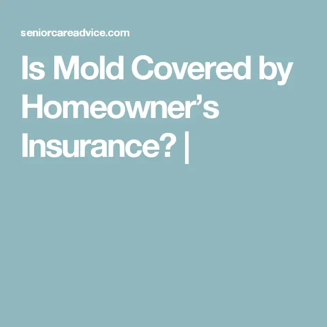 Is Mold Covered by Homeownerâs Insurance?