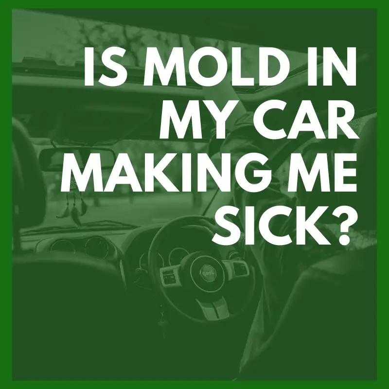 Is Mold In My Car Making Me Sick?