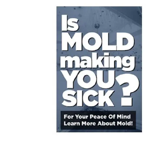 Is Mold Making You Sick?
