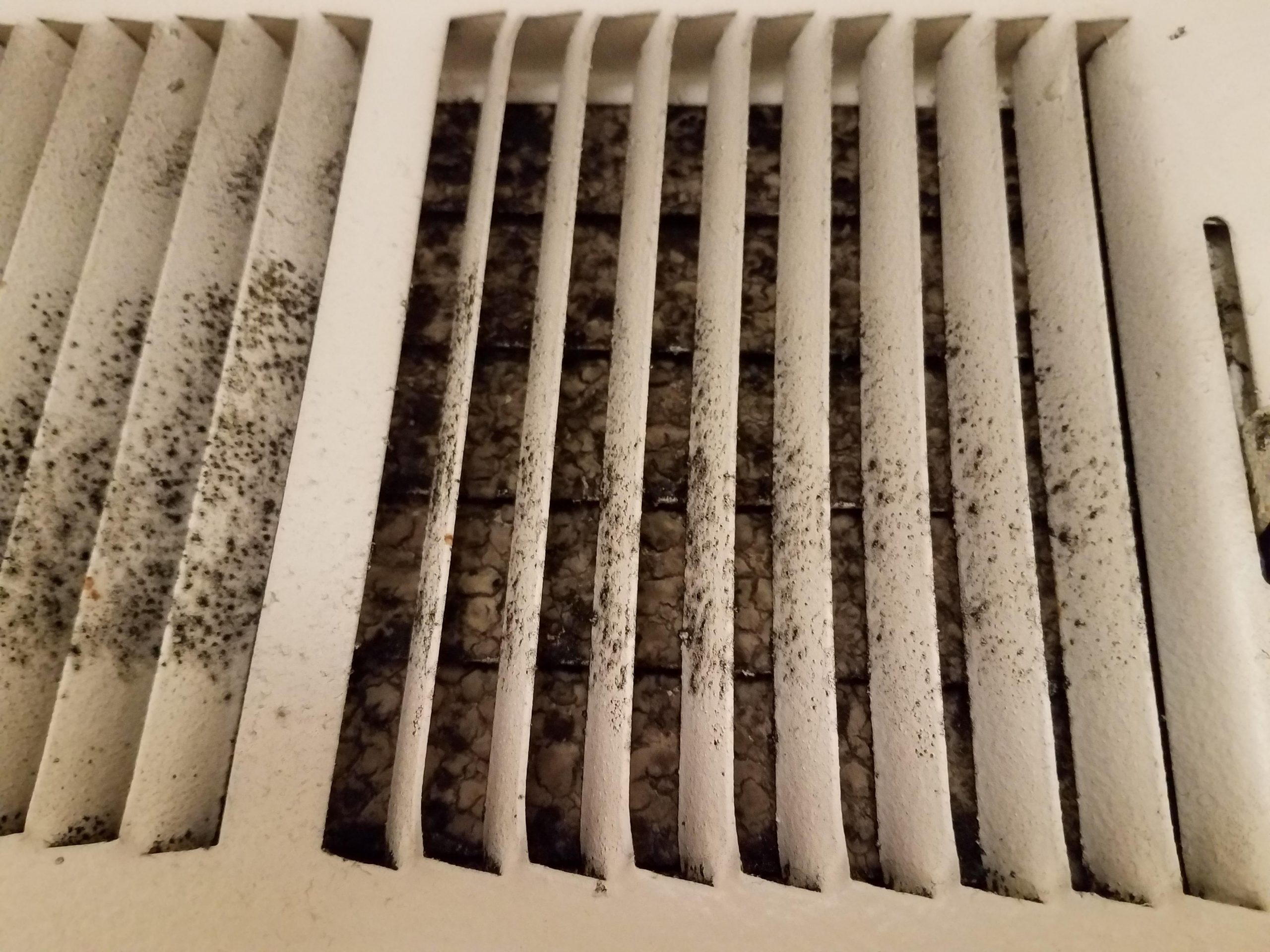 Is the debris (mold? no clue!) on/in this vent normal ...