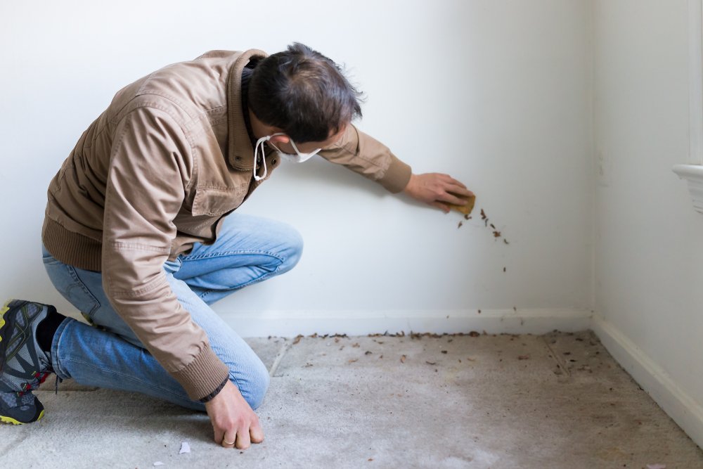 Is There Mold in My Omaha Home? Common Places Where Mold ...